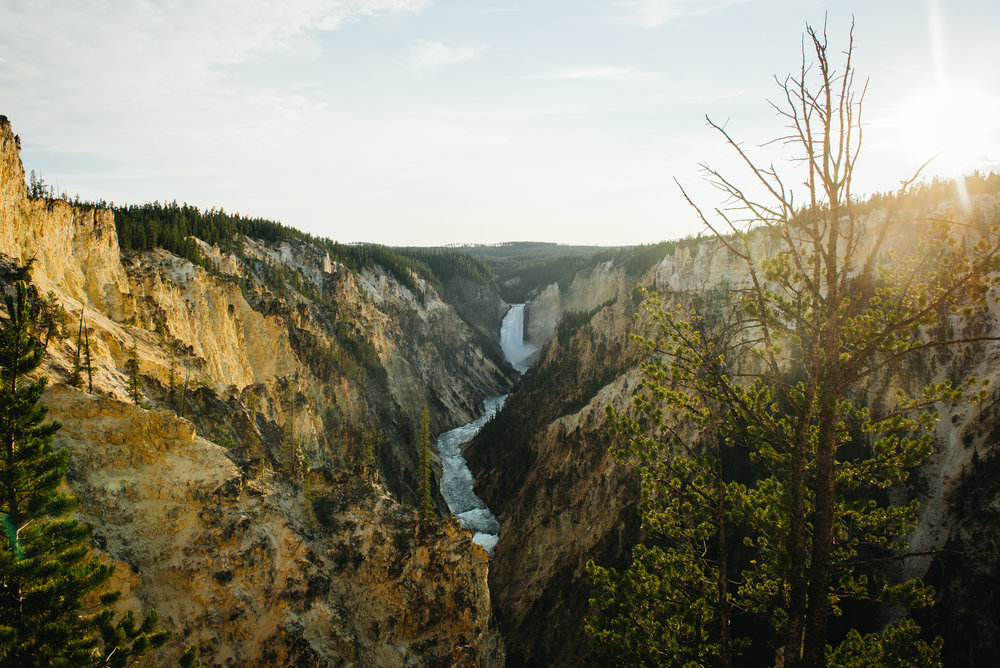 Sunset view at the Lower Falls of Yellowstone River