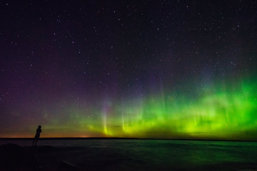 The Northern Lights dancing around at Rabbit Island